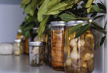 pickles-fermentation